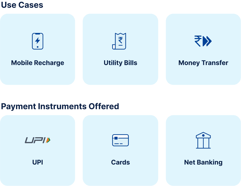 Consumer Payments